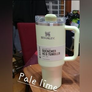 Stanley Quencher H2.0 Tumbler Pale Lime Green 40oz Target Exclusive Limited Ed.